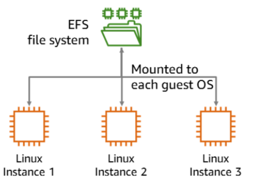 File System