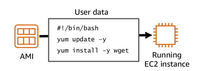 User Data Script